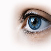 5. Screen Fatigue Relief & Eye Comfort
